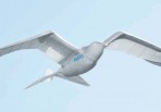 SmartBird flies by mechanically flapping it's wings!