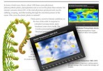 Apple launches iBooks for the iPad